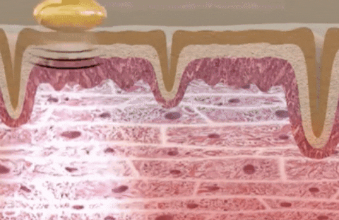 hazzor giphyupload GIF