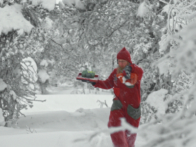 santa claus office christmas GIF by The Elves!