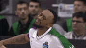 liga endesa basketball GIF by ACB