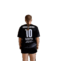 Handball Hr Sticker by Roedertalbienen