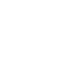 Gray Area Sticker by Electric Zoo Festival