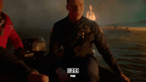 scared fox GIF