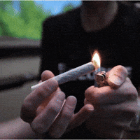 Roll Lighting Up GIF by Exclusive Brands
