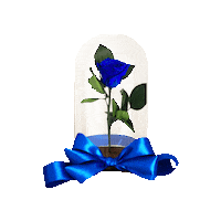 Blue Rose Flowers Sticker by Blooming Box
