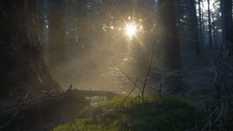 aleoxth giphygifmaker GIF