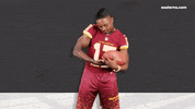 Washington Football Team GIF by Easterns Automotive Group