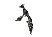 Dragon Sdesign Sticker
