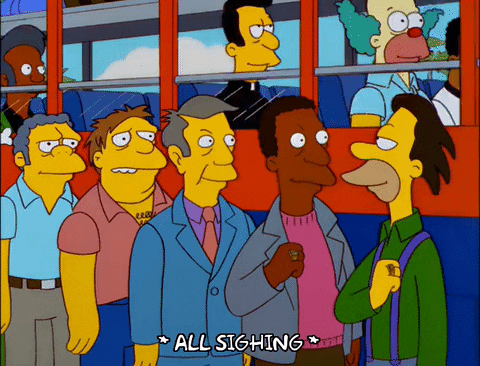 episode 12 principle skinner GIF