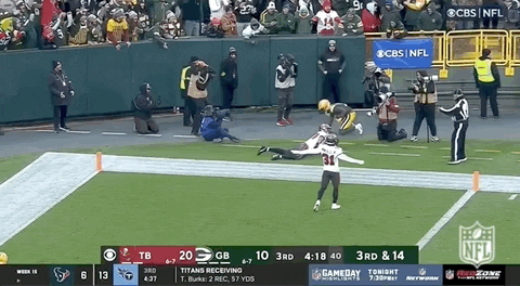 National Football League GIF by NFL