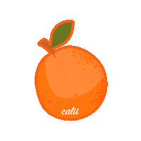 Reel Sticker by Calii app