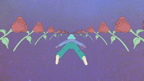 dude york GIF by Hardly Art