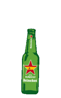 Euro Cup Football Sticker by Heineken