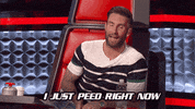 begin at 8/7c! adam levine GIF by The Voice