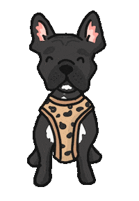 Frenchie Dog Sticker