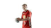 Handball Holland Sticker by tusnluebbecke