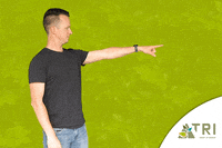 Boom Plant GIF by TRI Groei in Groen