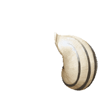 sofiaiva happy cute hello hi Sticker