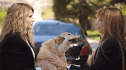 comedy central nod GIF by Idiotsitter