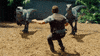 chris pratt velociraptor GIF