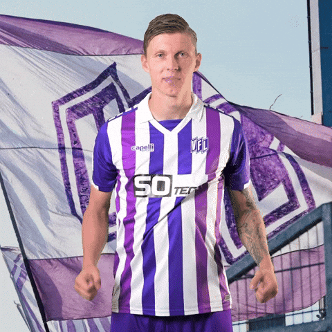 Tor Sieg GIF by VfLOsnabrueck