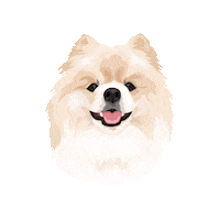Nalapp Sticker by Pickle's Pawtraits