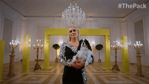 The Pack Dogs GIF by Amazon Prime Video
