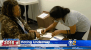 presidential election GIF by Election 2016