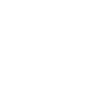 Black Friday Lashes Sticker by Borboleta Beauty