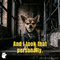 Mood Sarcasm GIF by Woofzara