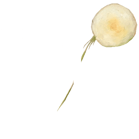 iam_viktoriia giphyupload art cool flower Sticker