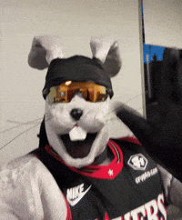Good Morning Hello GIF