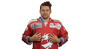 Proud Ice Hockey Sticker by HC Oceláři Třinec