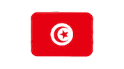 emojivid emoji flag tunisia emojivid Sticker