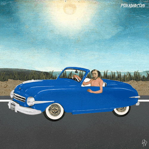 Animation Domination Lol GIF by gifnews