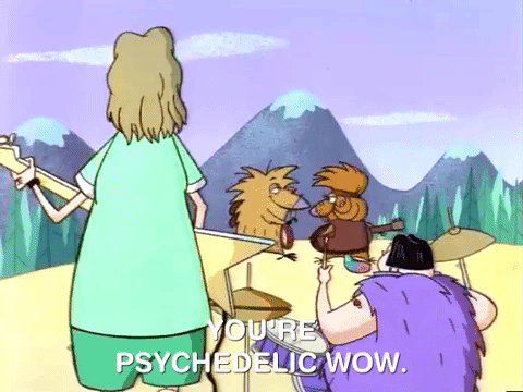 nickrewind giphydvr nicksplat angry beavers giphyab013 GIF