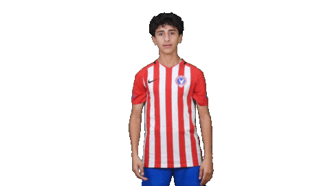 Football Soccer Sticker by Gulf United FC