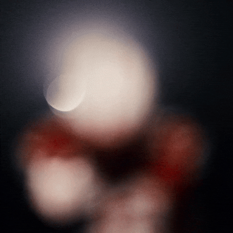 Lets Go Football GIF by Huskers