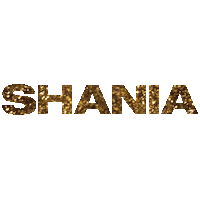 Peoples Choice Awards Shania Sticker by NBC