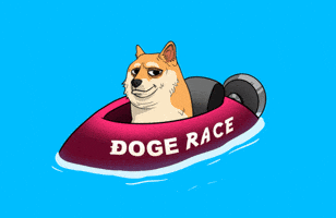 Boat Race No GIF by Doge Pound