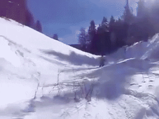 w131313 giphygifmaker tele GIF