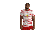Football What Sticker by RB Leipzig