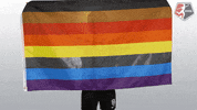 nwsl soccer rainbow pride nwsl GIF