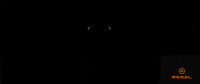 Regal Cinemas GIF by Regal