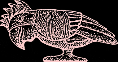 greenparrotbar  GIF