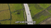 GIF by saregama