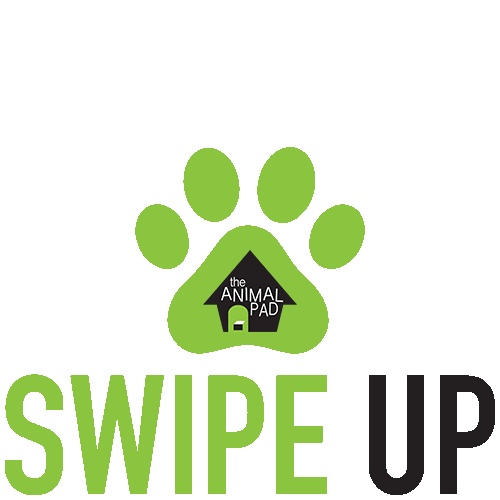 Dog Swipe Sticker by theanimalpad