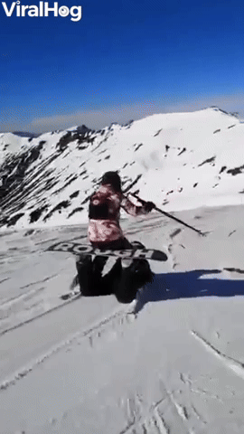 Human Sled