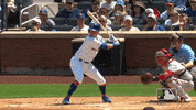 Ny Mets Sport GIF by New York Mets