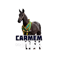 Mm Mp Sticker by Haras Misk