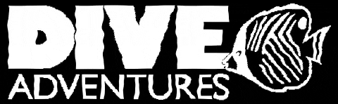 diveadventures giphygifmaker travel dive diving GIF